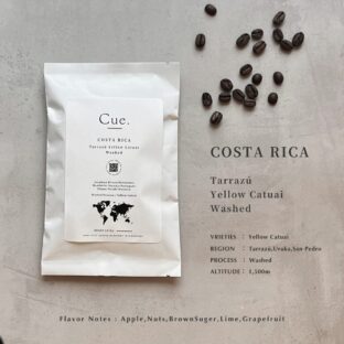 コスタリカ タラス イエローカツアイ〈ウォッシュ〉100g